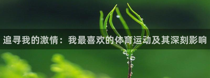 一竞技官网下载招商电话号码查询是多少:追寻我的激情:我最喜欢