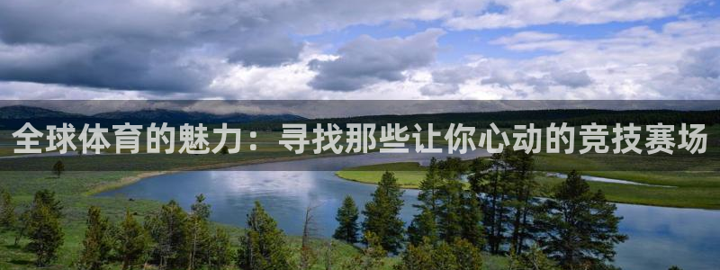 一竞技官方正版app新能源:全球体育的魅力:寻找那些让你心动